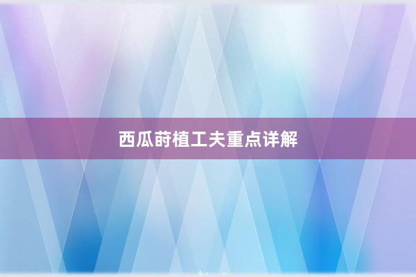 西瓜莳植工夫重点详解
